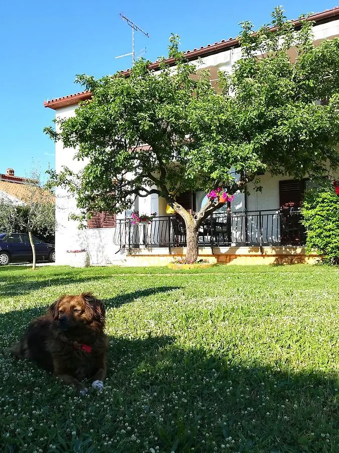 Villa Nina Poreč Apartment